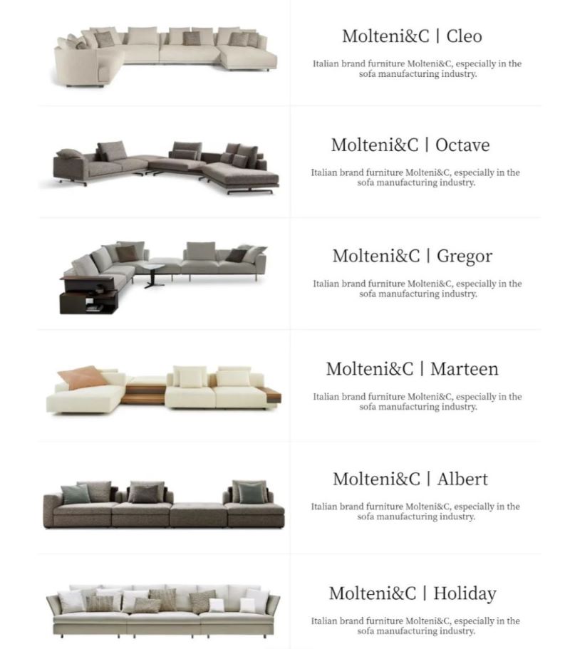 Molteni & C Sofa