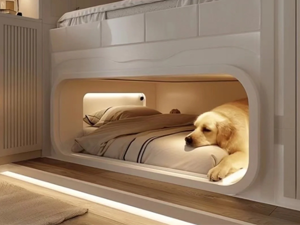 furniture covers for pets