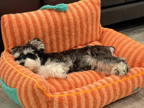 furniture covers for pets