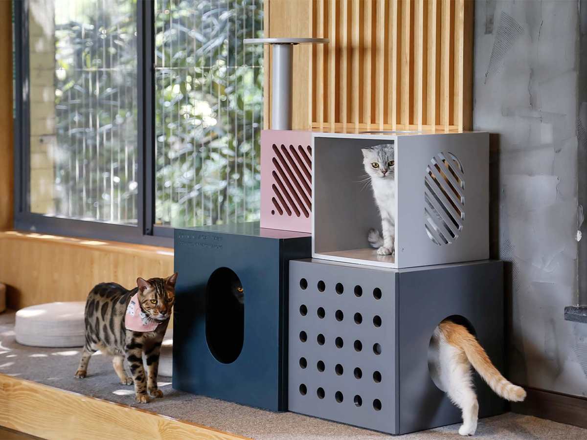 Furniture Covers for Pets: Cozy Haven for Your Companion